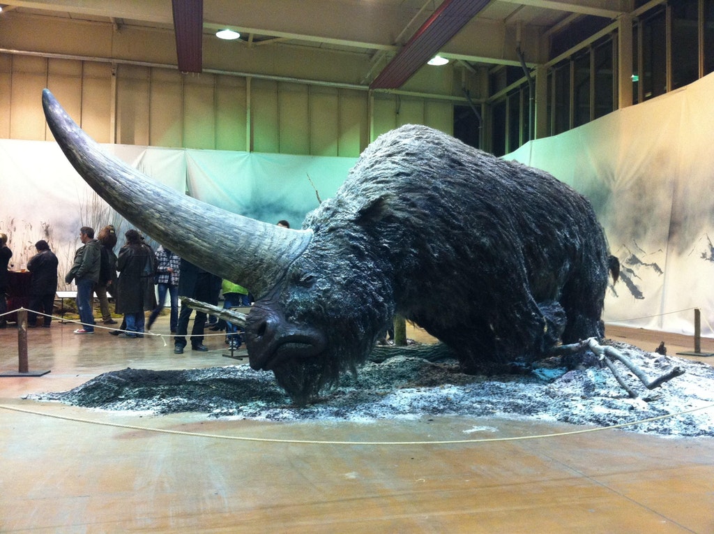 Elasmotherium